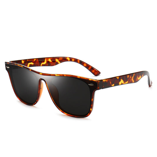 Sunglasses Eyewear Goggles Outdoor Driving Mountaineering