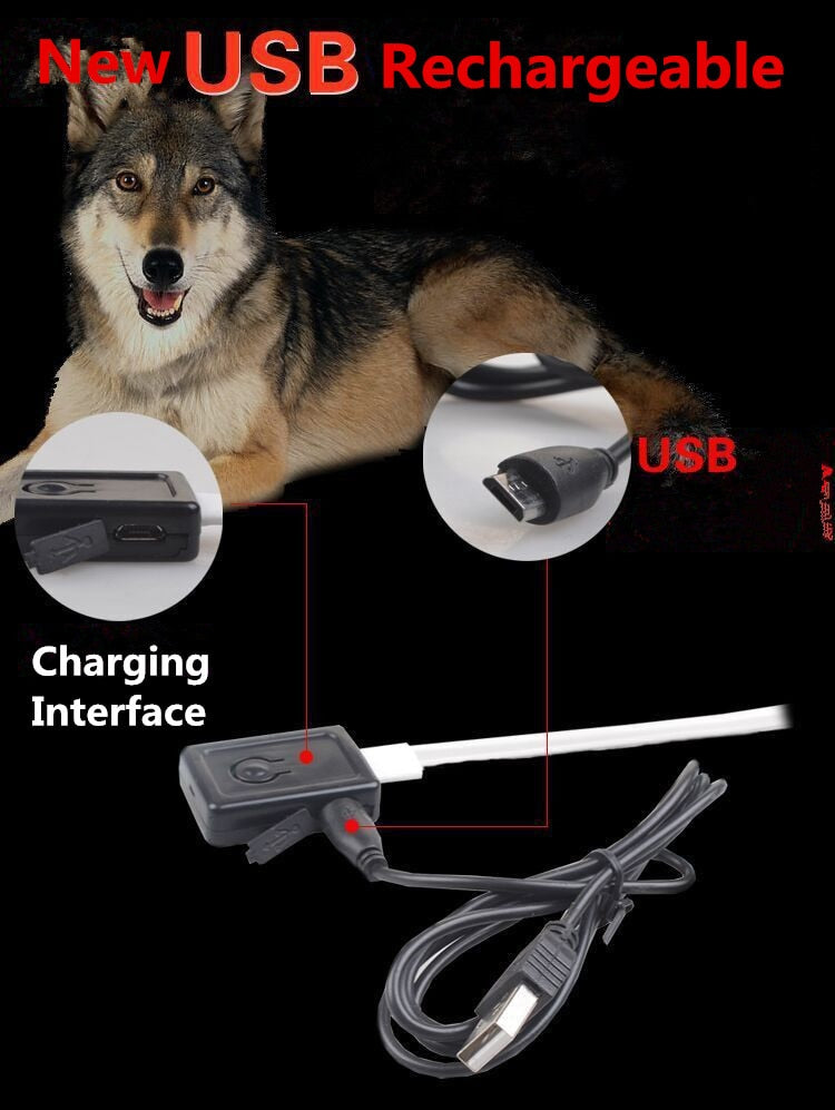 Nylon LED Pet Dog Luminous Collar Night Safety Flashing Glow in Dark Dog Cat Leash Adjustable Pet Supplies
